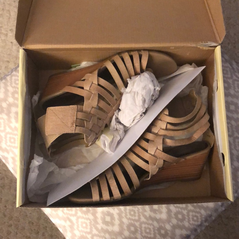 Cathy Jean Women’s shoe